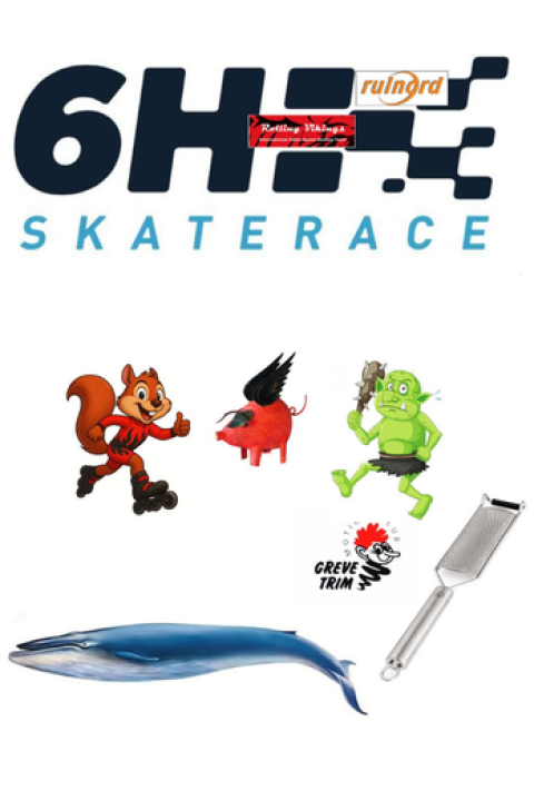 6H Skaterace på Flyvestationen